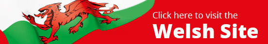 Visit the Welsh website